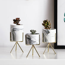 Load image into Gallery viewer, Blooms Marble Succulent Vase