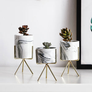 Blooms Marble Succulent Vase
