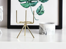 Load image into Gallery viewer, Blooms Marble Succulent Vase